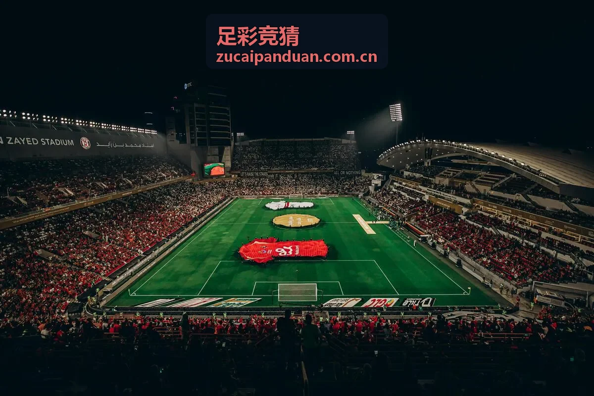 足彩竞猜专家分析师 - 张浩然